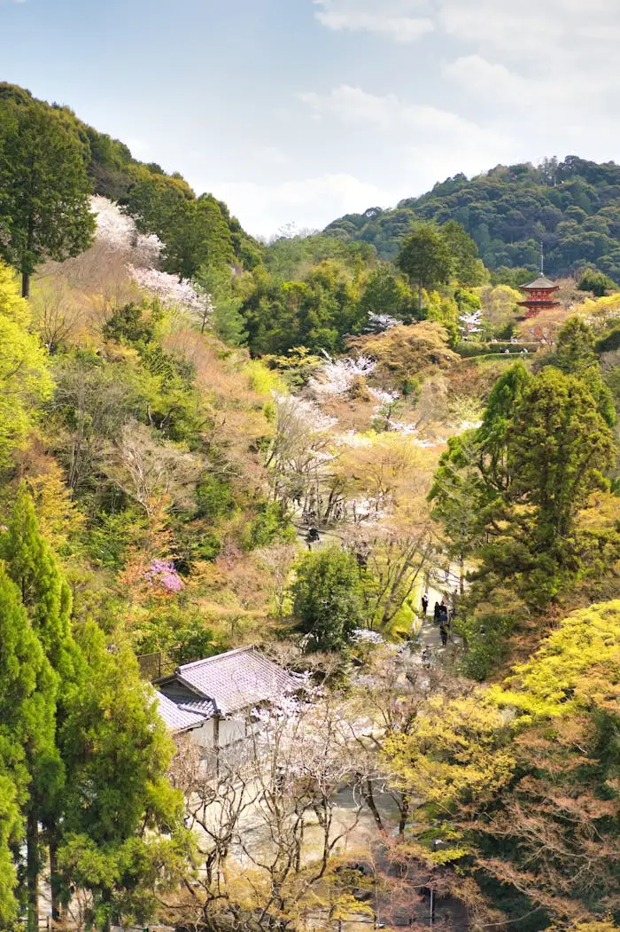 Free stock photo of cultural japan, green hill, japanese street